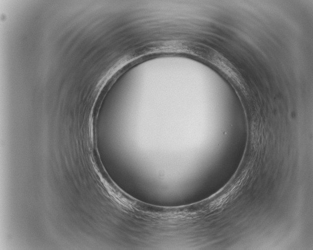 X0000060240988200510311517