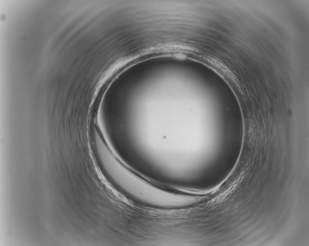 X0000060240989200510311517