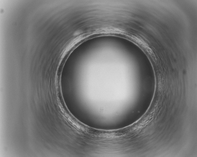 X0000060240990200510311517