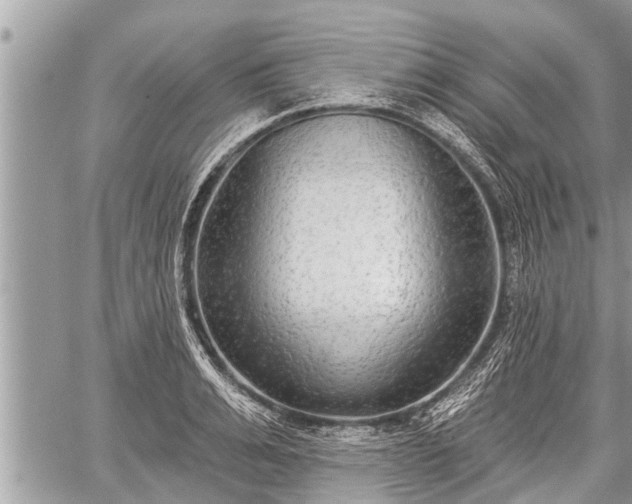 X0000060240991200510311517