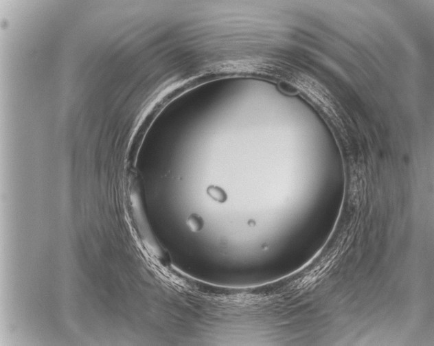 X0000060240992200510311517