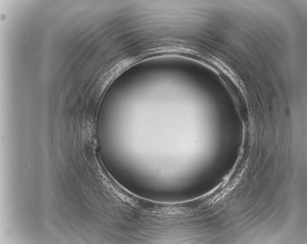 X0000060240993200510311517