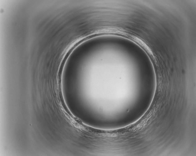 X0000060240996200510311517