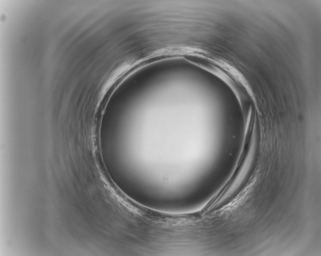 X0000060240997200510311517