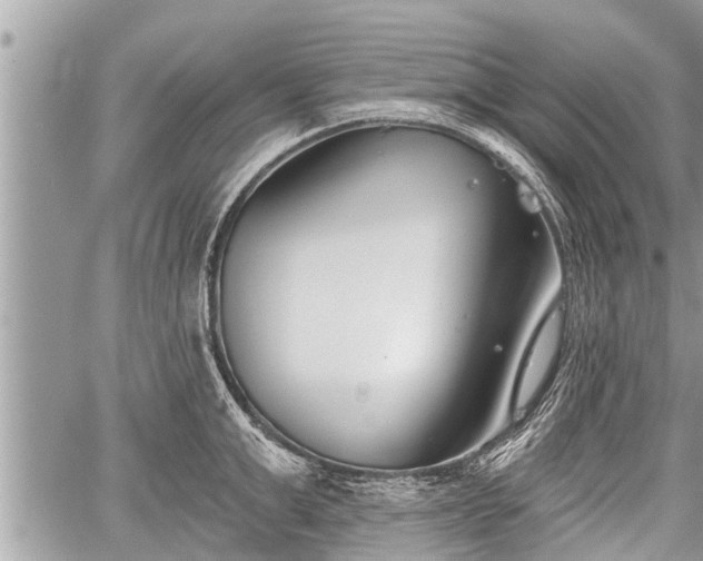 X0000060240999200510311517