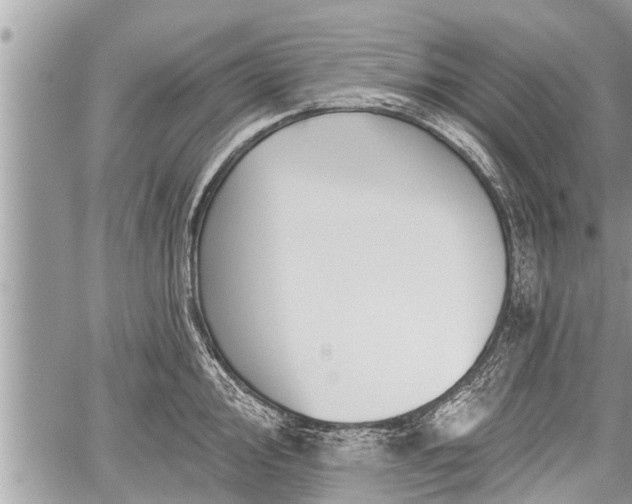 X0000060241000200510311517