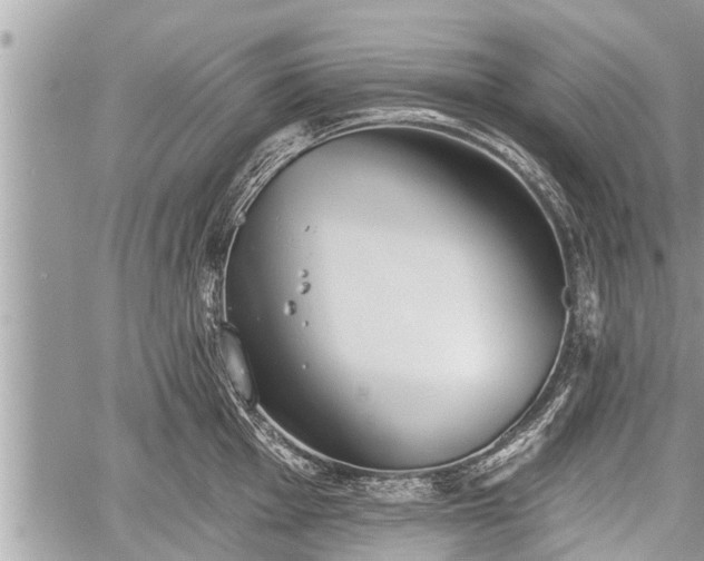 X0000060241001200510311517