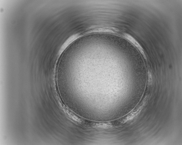 X0000060241002200510311517