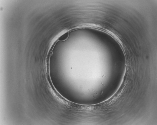 X0000060241003200510311517