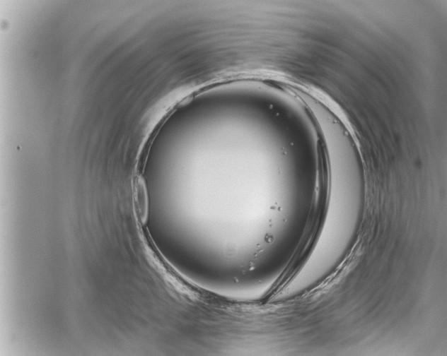 X0000060241005200510311517