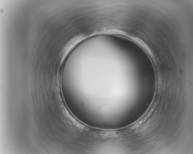 X0000060241006200510311517