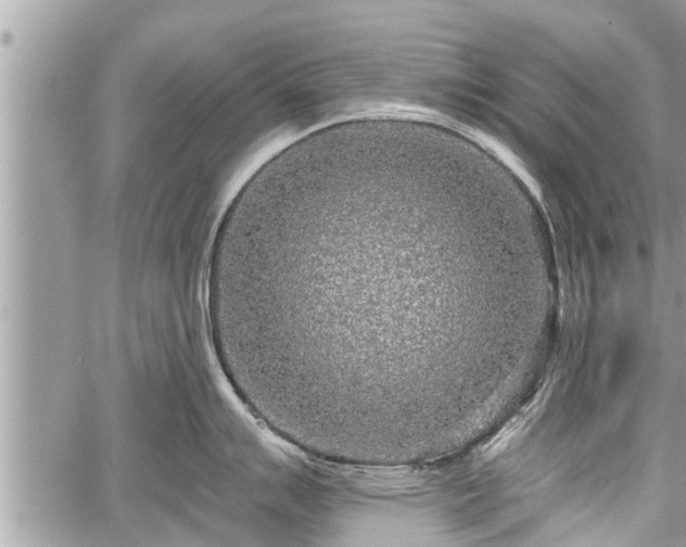 X0000060241007200510311517