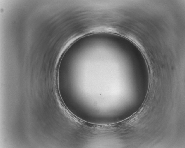 X0000060241008200510311517