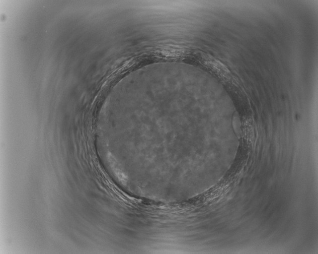 X0000060241009200510311516