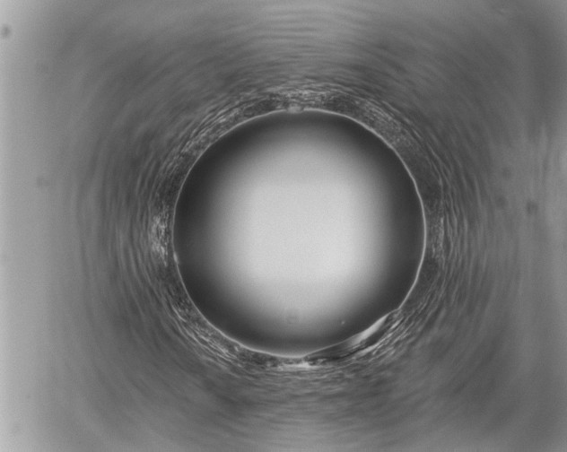 X0000060241010200510311516