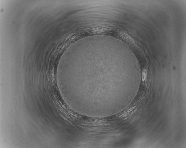 X0000060241011200510311516