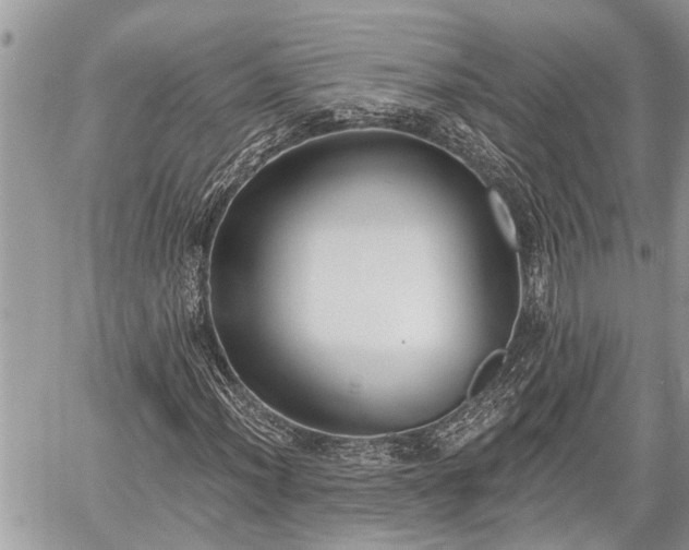 X0000060241012200510311516