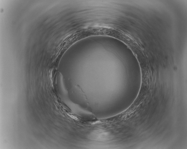 X0000060241013200510311516