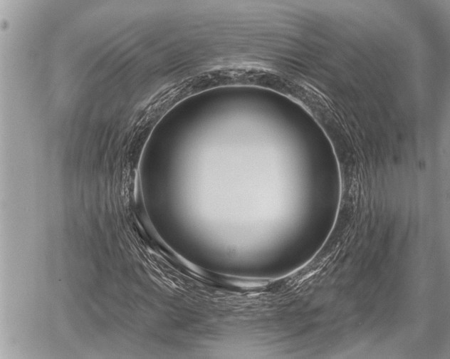 X0000060241014200510311516