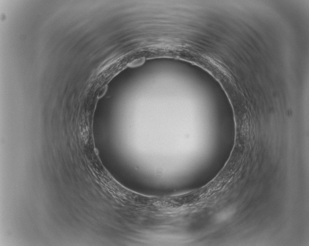 X0000060241015200510311516