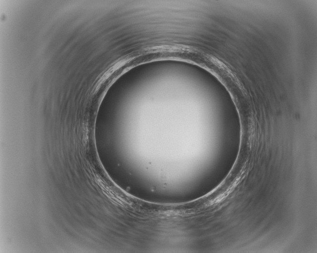 X0000060241017200510311516