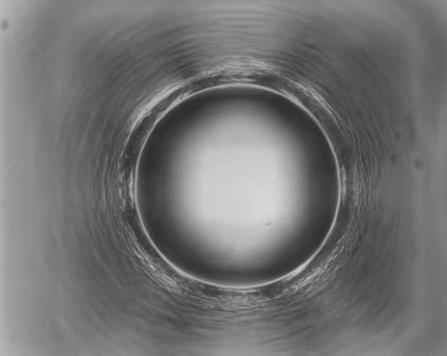 X0000060241018200510311516