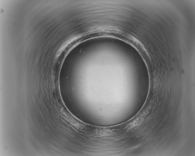 X0000060241019200510311516