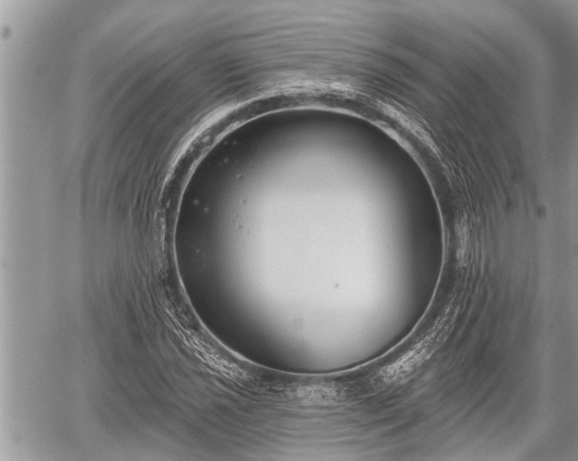 X0000060241021200510311516