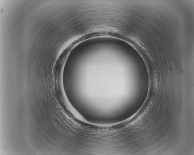 X0000060241022200510311516