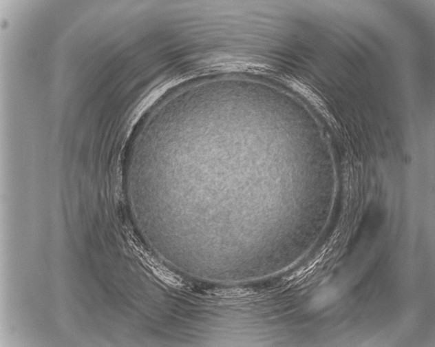 X0000060241023200510311516