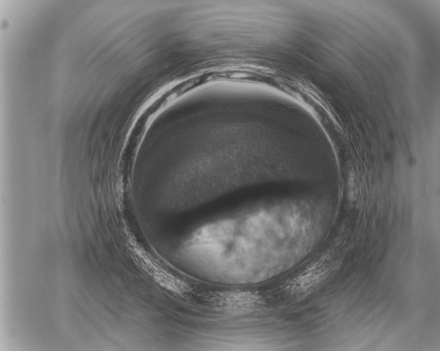 X0000060241024200510311516