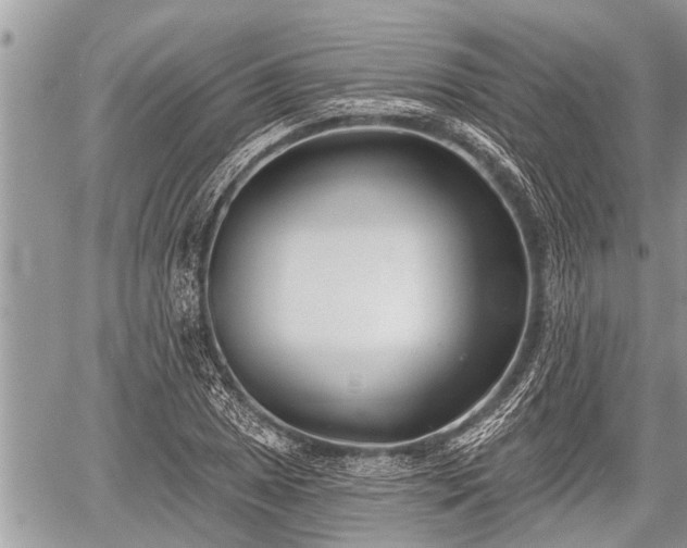 X0000060241025200510311516