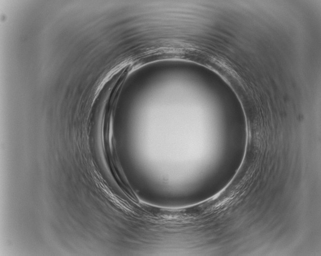 X0000060241026200510311516