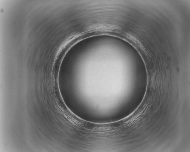 X0000060241027200510311516