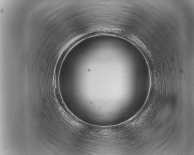 X0000060241028200510311516