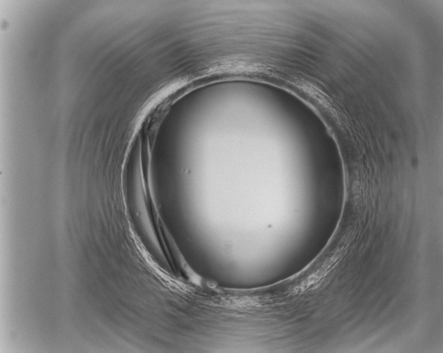 X0000060241030200510311516