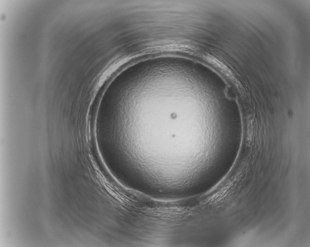 X0000060241031200510311516