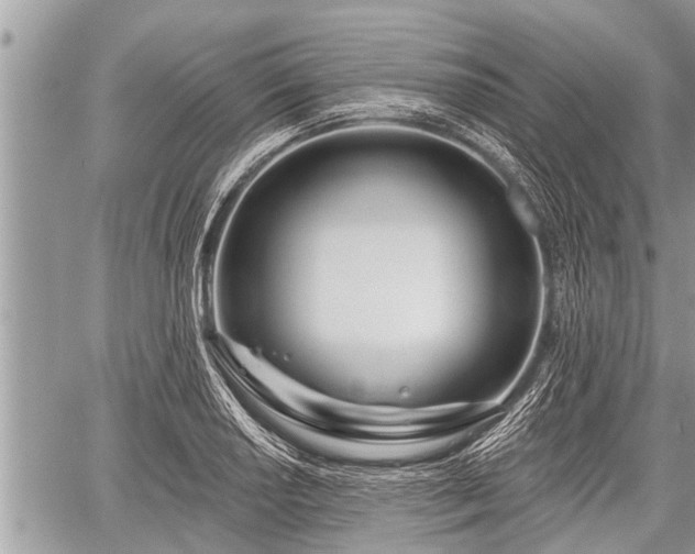 X0000060241034200510311517