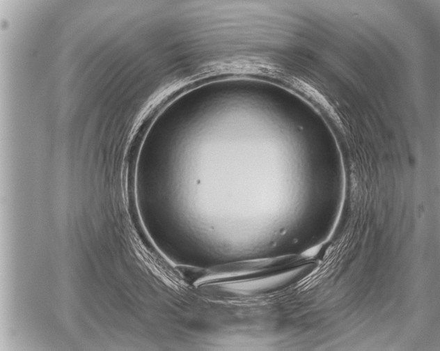 X0000060241035200510311517