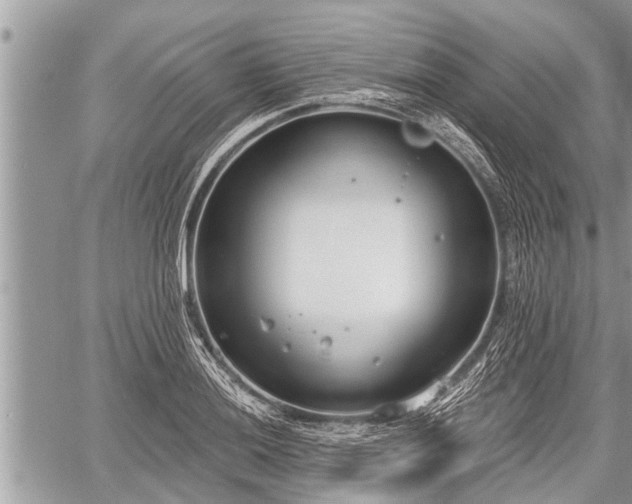 X0000060241036200510311517