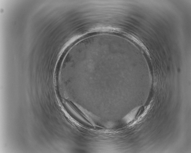 X0000060241037200510311517