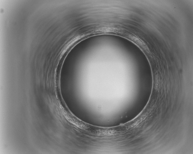 X0000060241039200510311517