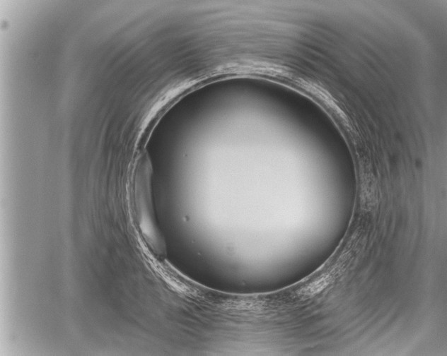 X0000060241040200510311517