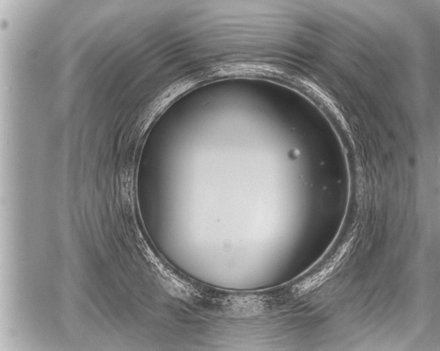 X0000060241041200510311517