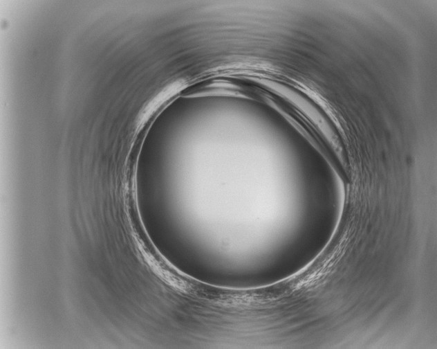 X0000060241042200510311517