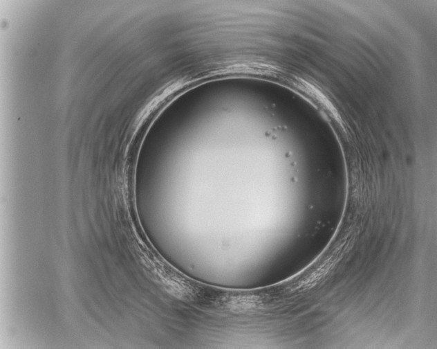 X0000060241043200510311517