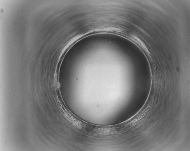 X0000060241044200510311517