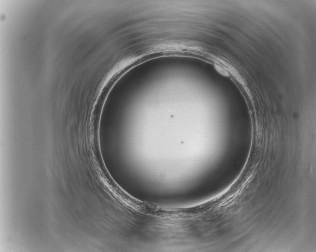 X0000060241045200510311517