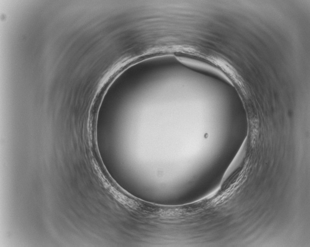 X0000060241046200510311517