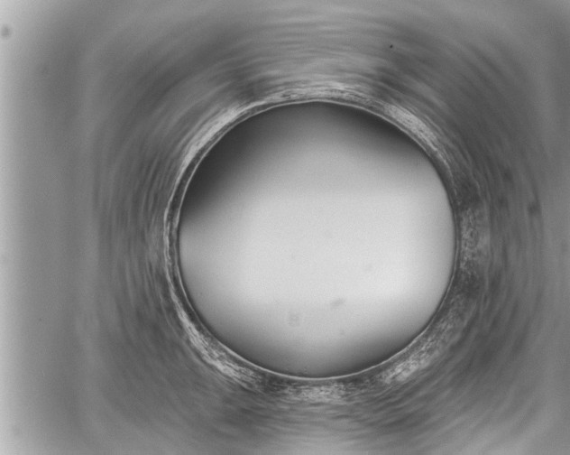 X0000060241047200510311517